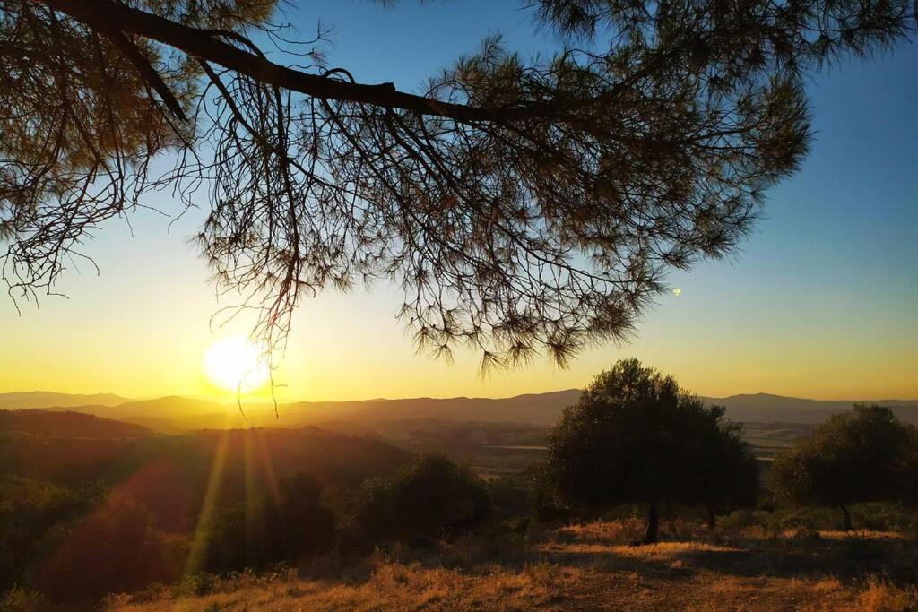 Polveraia Casa Cavalli מראה חיצוני תמונה